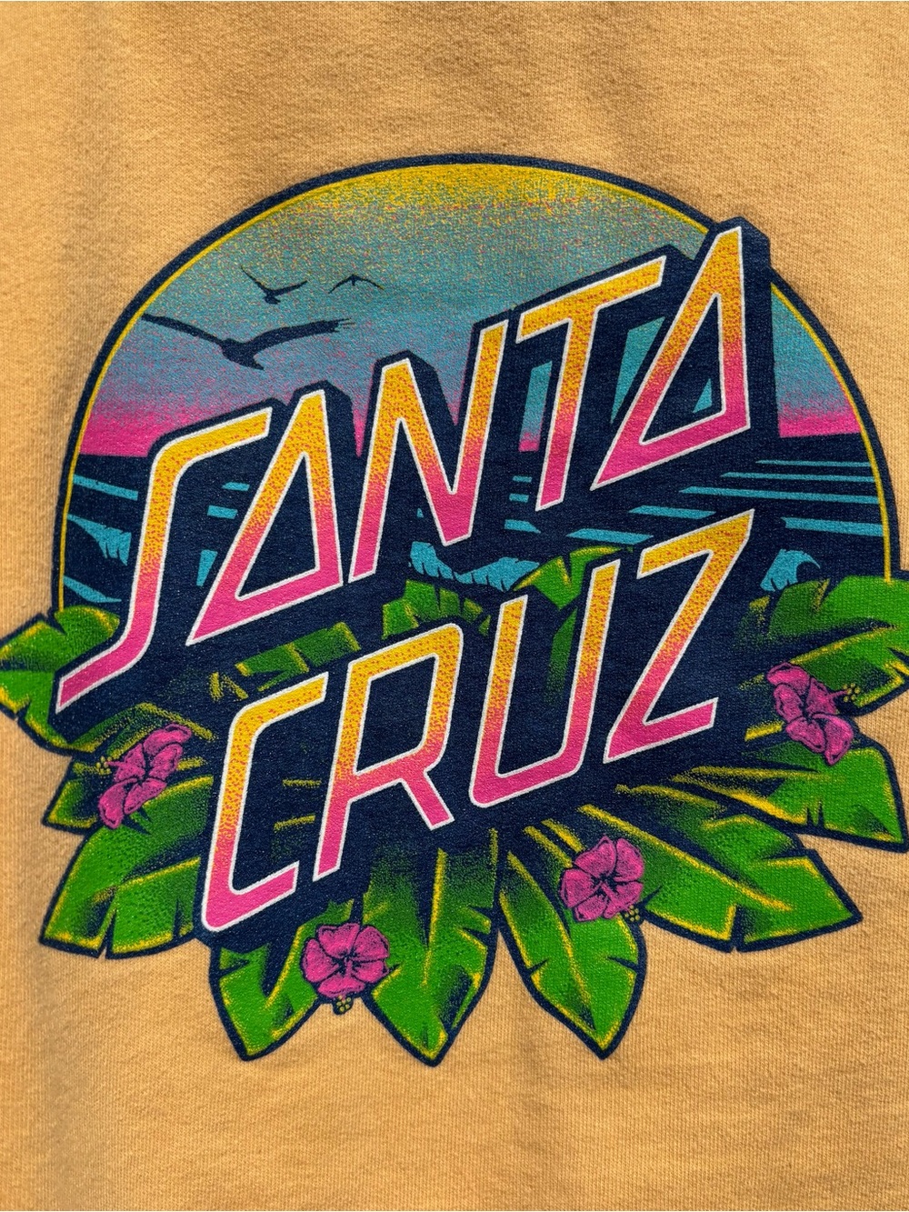 Santa Cruz Hoodie Unisex M Medium Hooded Sweatshirt Pullover Graphic On Back